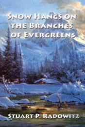 Snow Hangs On The Branches Of Evergreens