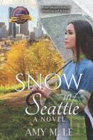 Snow In Seattle