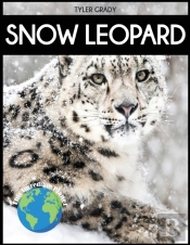 Snow Leopard