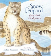 Snow Leopard: Grey Ghost Of The Mountain