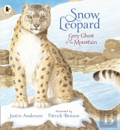 Snow Leopard: Grey Ghost Of The Mountain