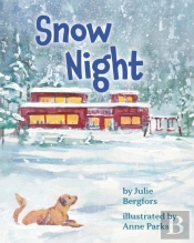 Snow Night