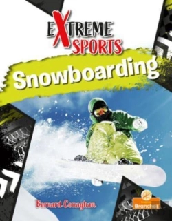 Bertrand.pt - Snowboarding