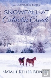 Snowfall At Catoctin Creek