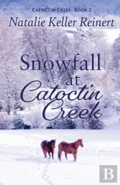 Snowfall At Catoctin Creek