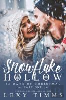 Snowflake Hollow - Part 1