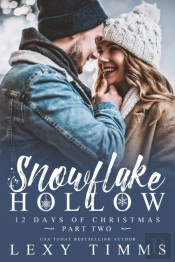 Snowflake Hollow - Part 2