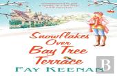 Snowflakes Over Bay Tree Terrace