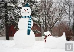Bertrand.pt - Snowman & Snowdog Notecards
