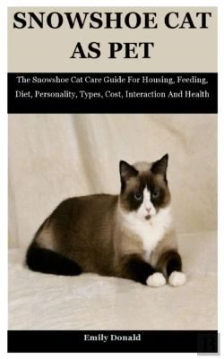 Bertrand.pt - Snowshoe Cat As Pet