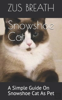 Bertrand.pt - Snowshoe Cat