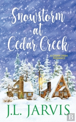 Bertrand.pt - Snowstorm At Cedar Creek
