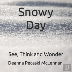 Bertrand.pt - Snowy Day