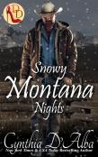 Snowy Montana Nights
