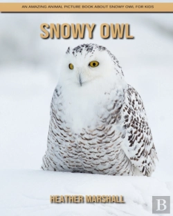 Bertrand.pt - Snowy Owl