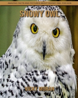 Bertrand.pt - Snowy Owl