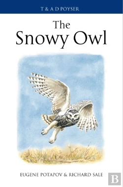 Bertrand.pt - Snowy Owl