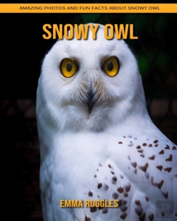 Bertrand.pt - Snowy Owl