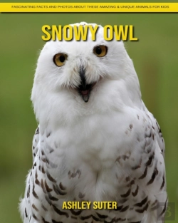 Bertrand.pt - Snowy Owl