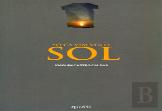 Só Cá Vim Ver o Sol