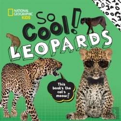 Bertrand.pt - So Cool! Leopards