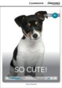 So Cute! Beginning Book With Online Access