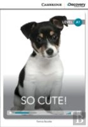 So Cute! Beginning Book With Online Access