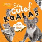 So Cute! Koalas
