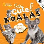 So Cute! Koalas
