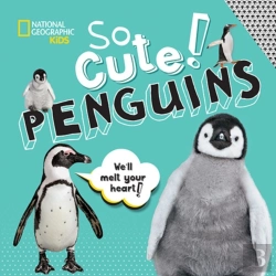 Bertrand.pt - So Cute: Penguins