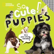 So Cute Puppies