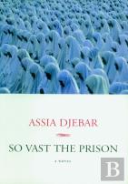 So Vast The Prison