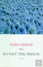 So Vast The Prison