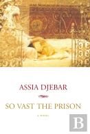 So Vast The Prison