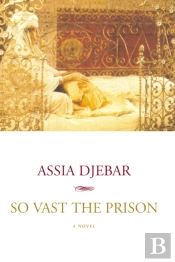 So Vast The Prison