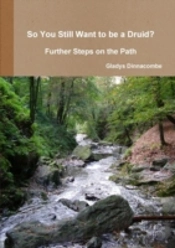 So You Still Want To Be A Druid? - Further Steps On The Path
