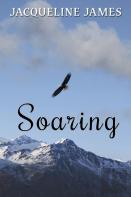 Soaring