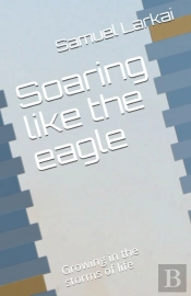 Soaring Like The Eagle