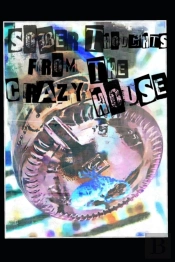 Sober Thoughts From The Crazy House