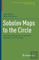 Sobolev Maps To The Circle