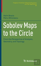 Sobolev Maps To The Circle