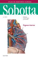 Sobotta. Atlas De Anatomía Humana Vol 2 (24ª Ed.)