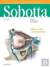 Sobotta. Atlas De Anatomía Humana Vol 3 (24ª Ed.)
