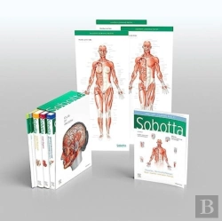 Bertrand.pt - Sobotta Atlas Of Anatomy, Package, 17th Ed., English/Latin