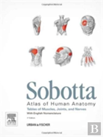 Sobotta Tables Of Muscles, Joints And Nerves, English