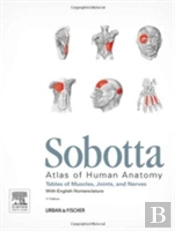 Sobotta Tables Of Muscles, Joints And Nerves, English