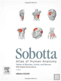 Bertrand.pt - Sobotta Tables Of Muscles, Joints And Nerves, English