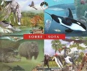 Sobre I Sota