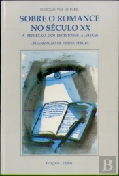 Sobre o Romance no Século X X