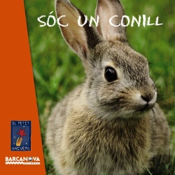 Bertrand.pt - Sóc Un Conill